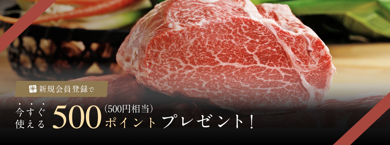 新規会員登録で500ポイントプレゼント!